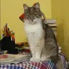 Отзыв от Марина Кукушкина